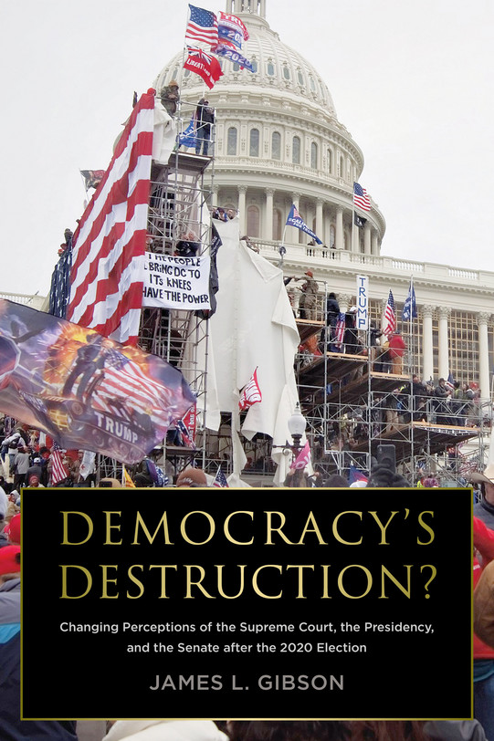 Buchcover Democracy's Destruction?